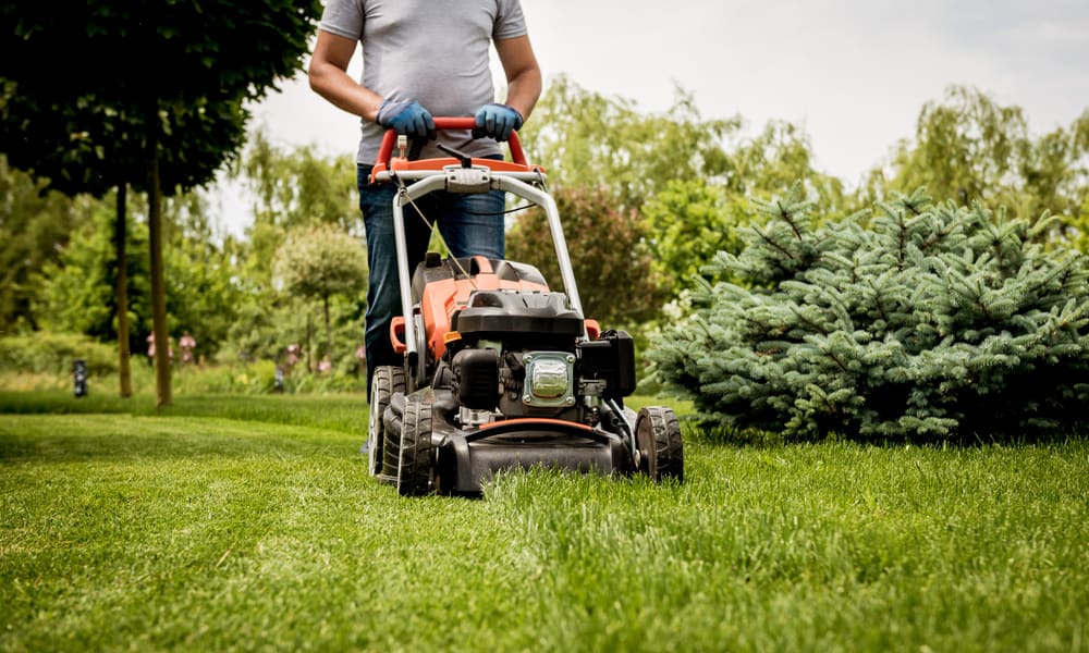 Lawn Mower Battery Not Charging