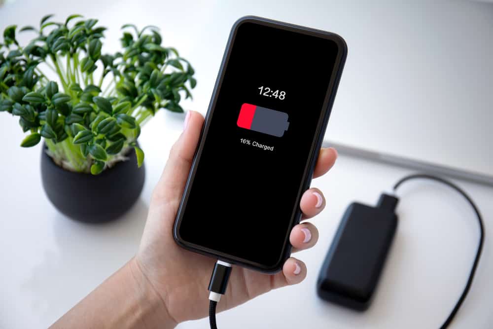 Phone Battery Not Holding Charge