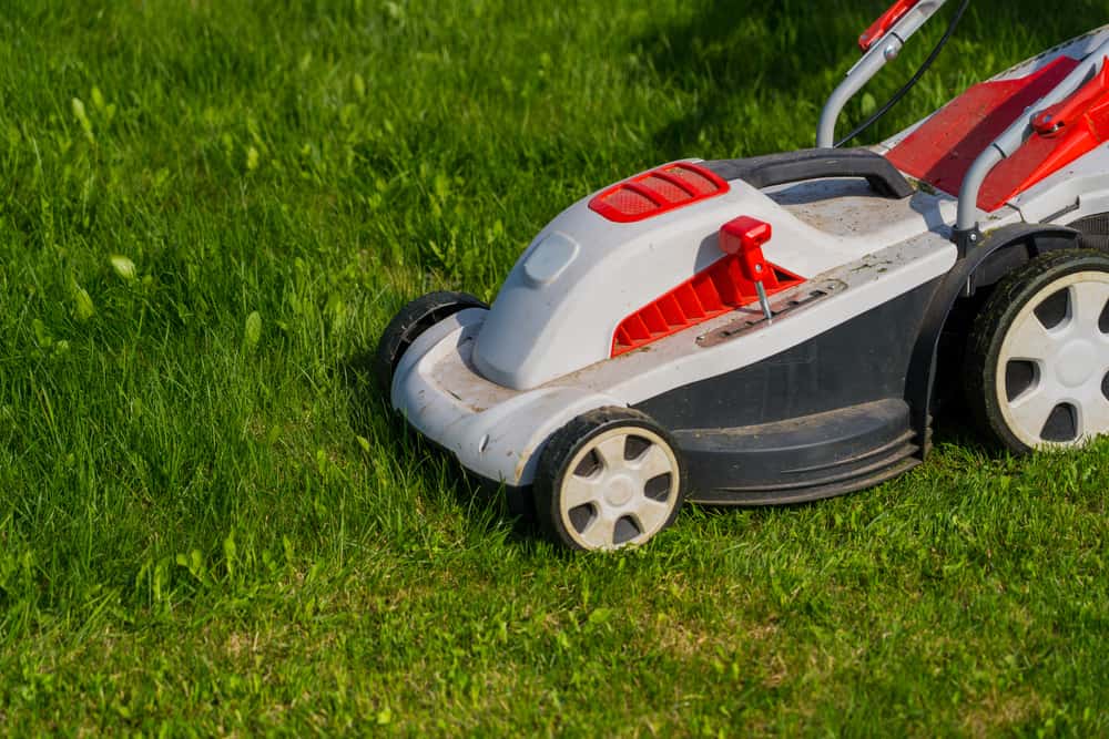 Lawn Mower Charging System