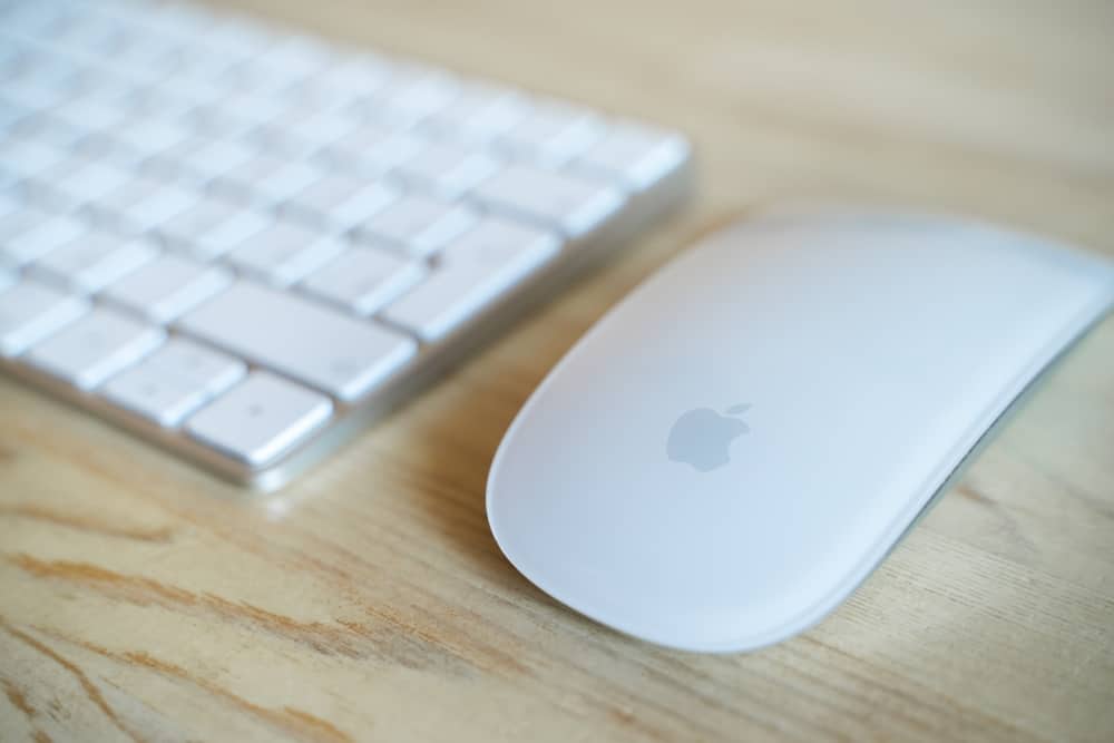 Magic Mouse